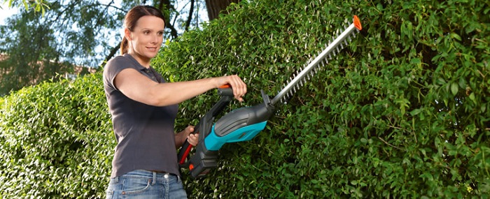 Buy Hedge Trimmers