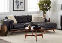 modern black leather sofa with wooden coffee table plants and side table