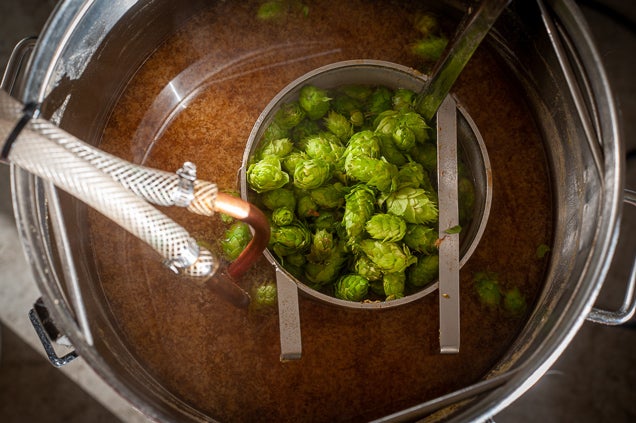 Fermenter with hops inside