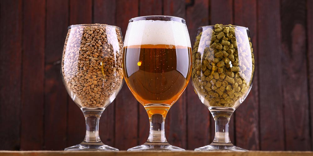 Glass of beer with hops and yeast beside it